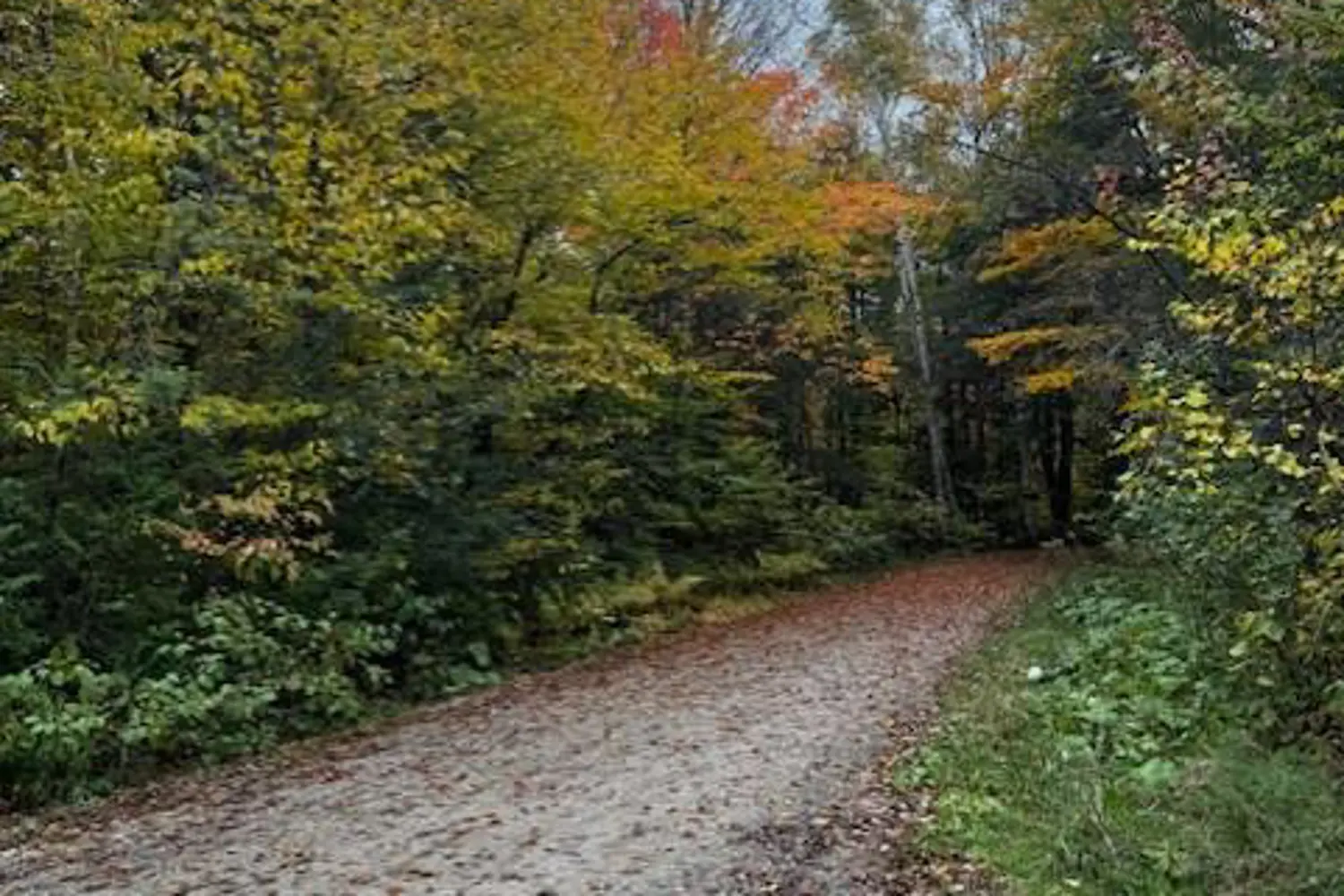 Additional image 4 of 78178 Lavrangue Drive