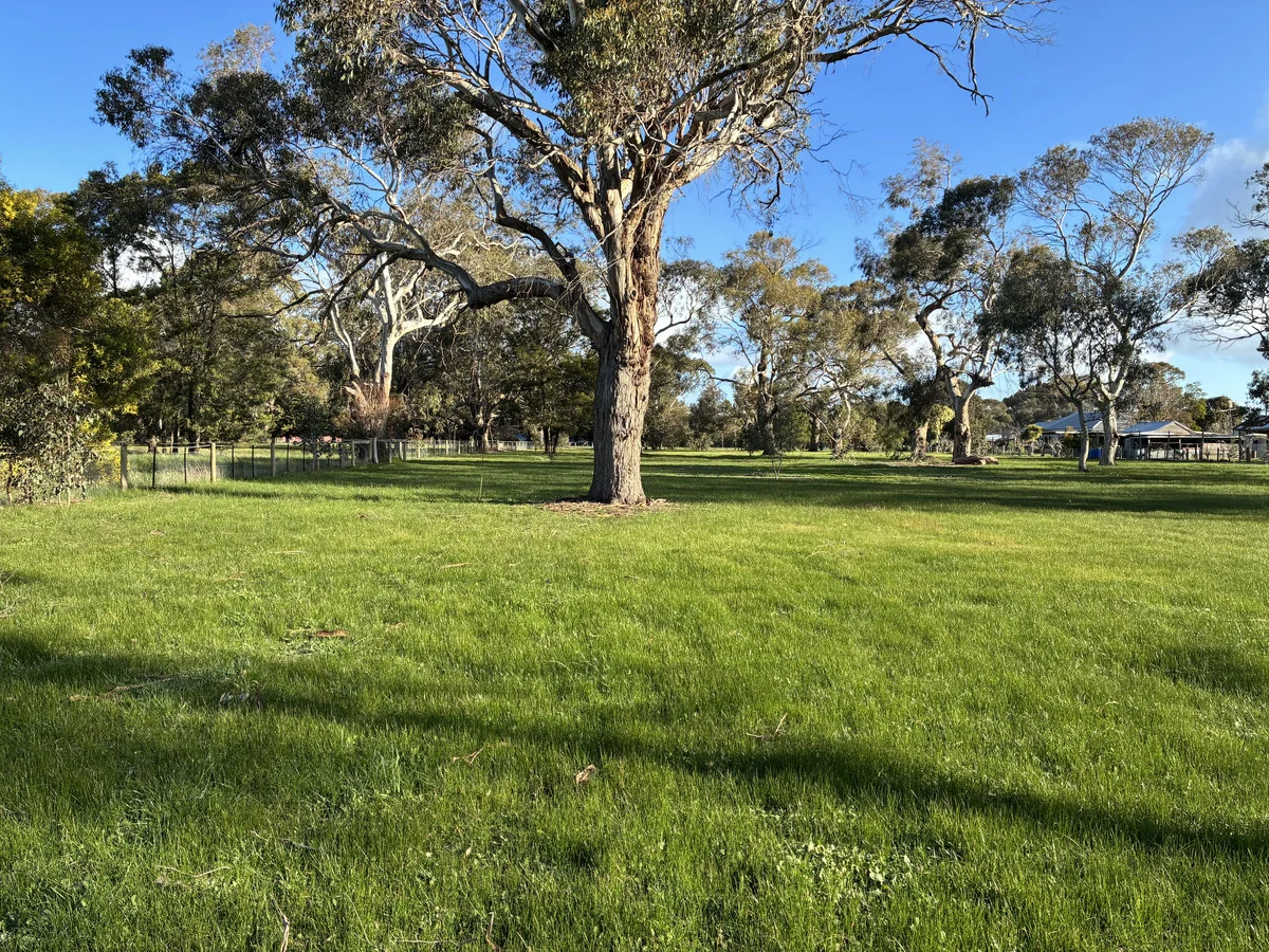 Additional image 10 of 8024 Hamilton Highway, Tarrington VIC 3301