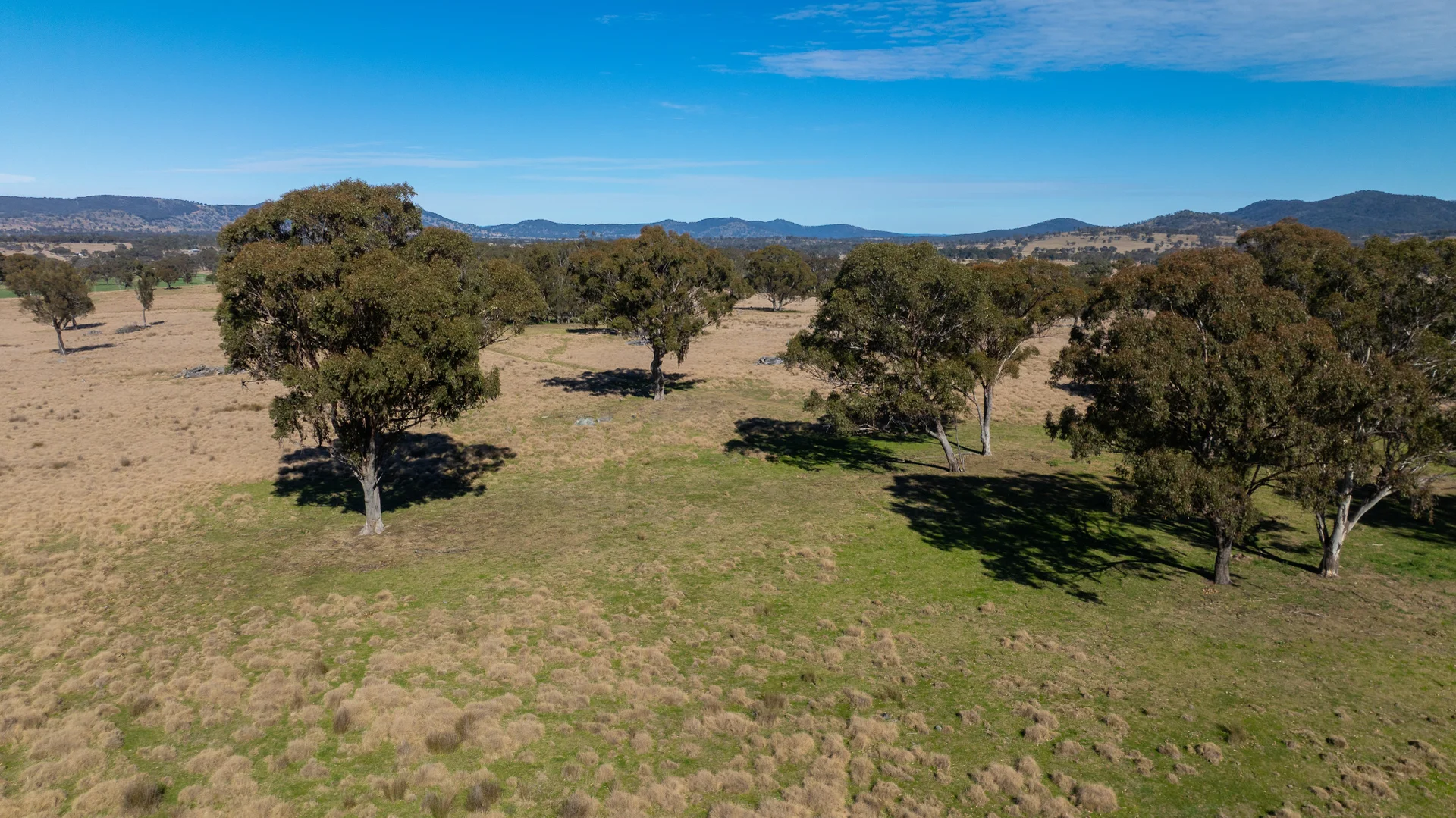 Additional image 21 of 214 Tarban Loop Road, Tenterfield NSW 2372
