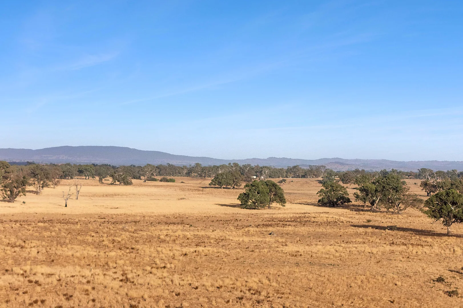 Additional image 9 of 3495 Burke and Wills Track, Mia Mia VIC 3444