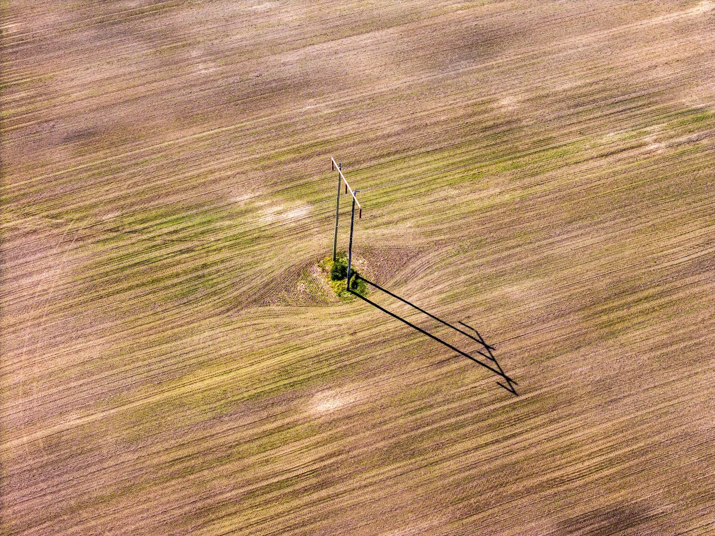 Additional image 35 of 119 Paddys Flat Road, Tabulam NSW 2469