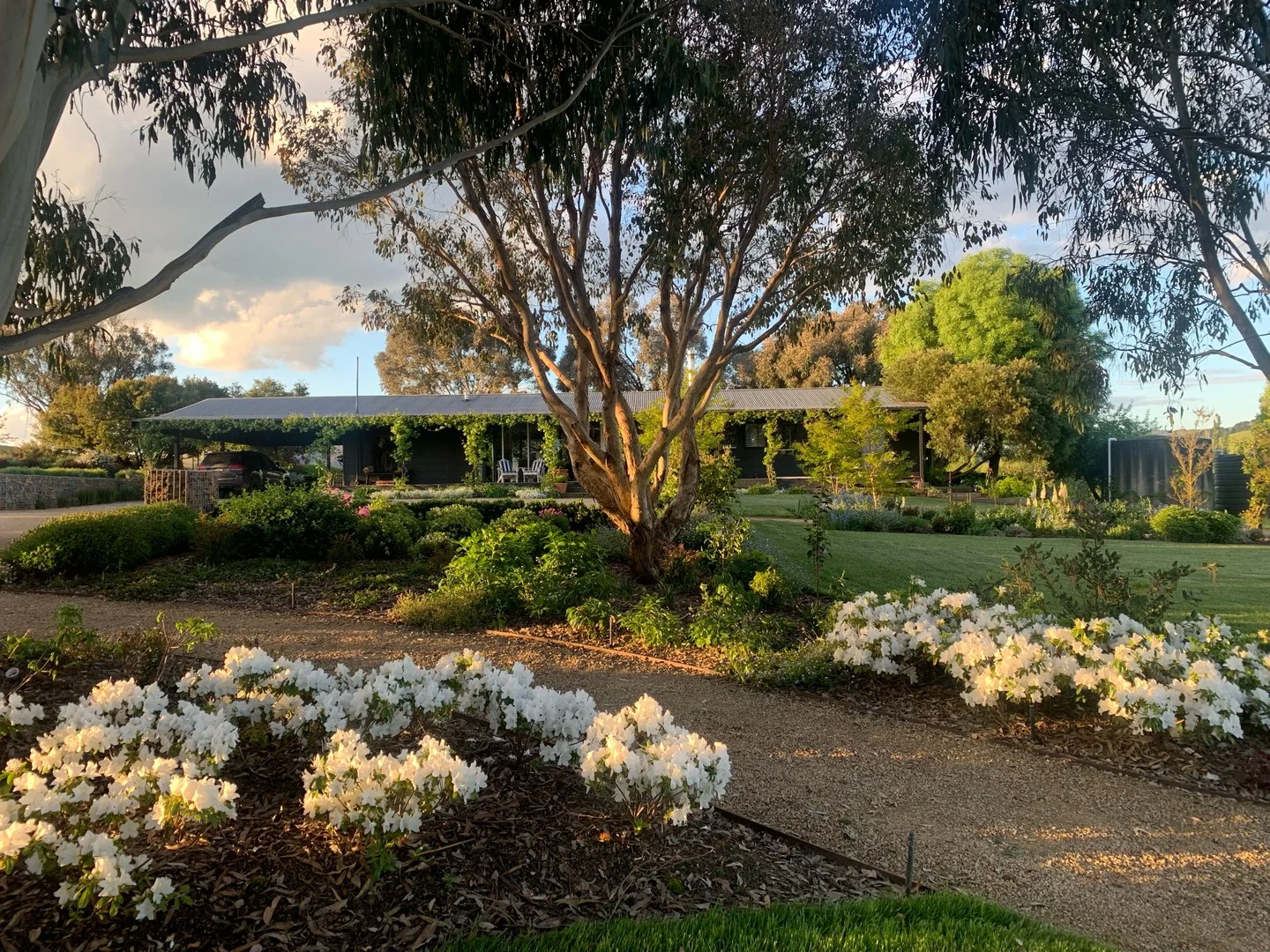 Additional image 13 of 520 Donaldsons Road, Ancona VIC 3715