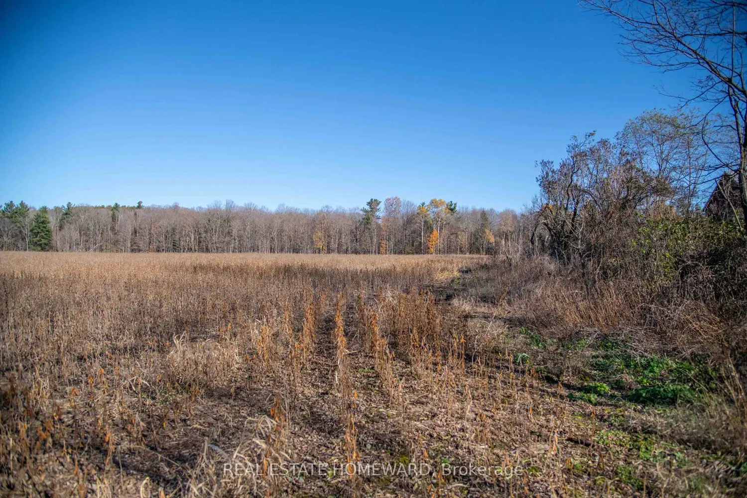 Additional image 6 of 7257 Soper Road