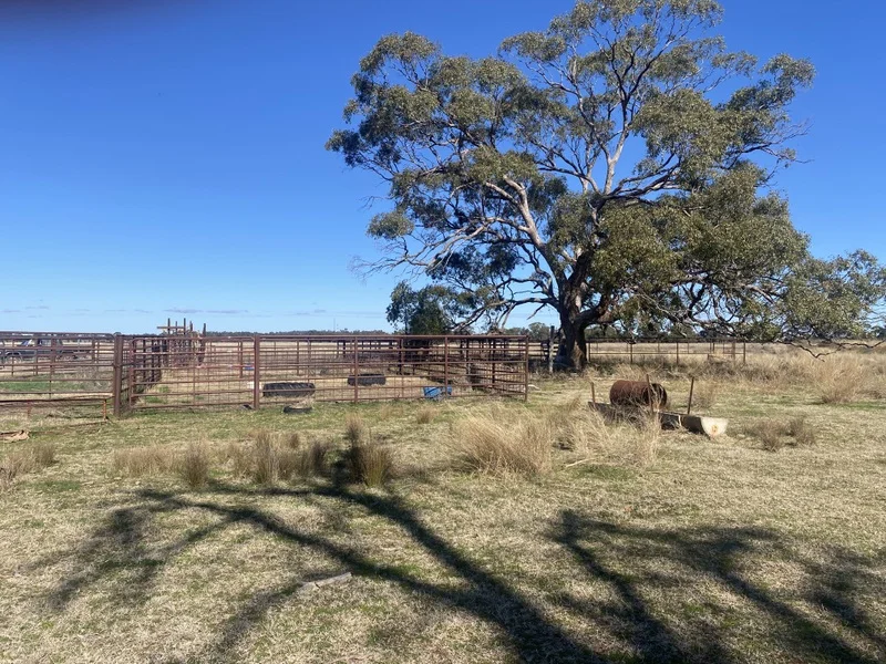 Additional image 11 of 382 Jones Lane, Condobolin NSW 2877