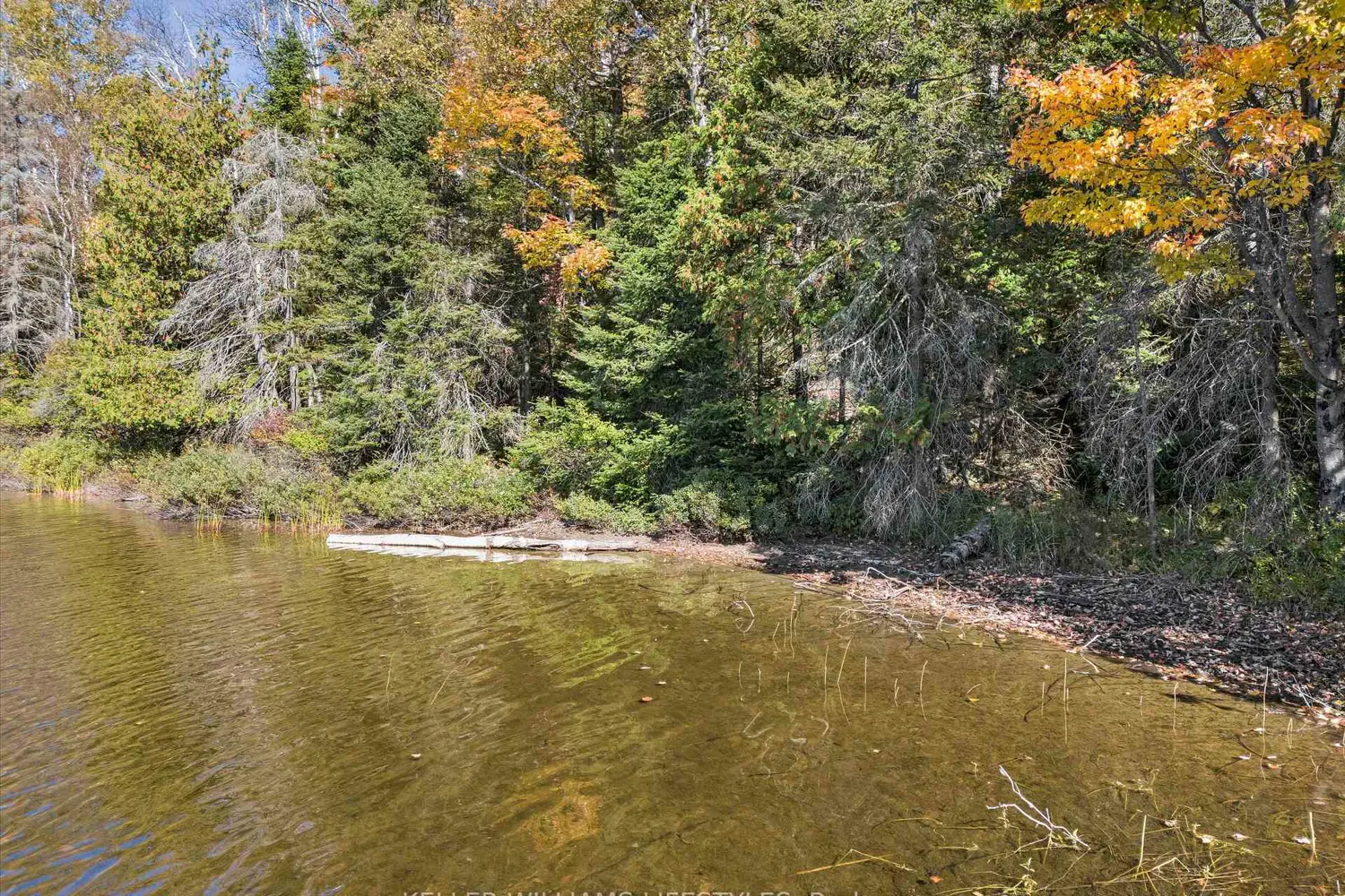 Additional image 18 of 0 Balsam Lane