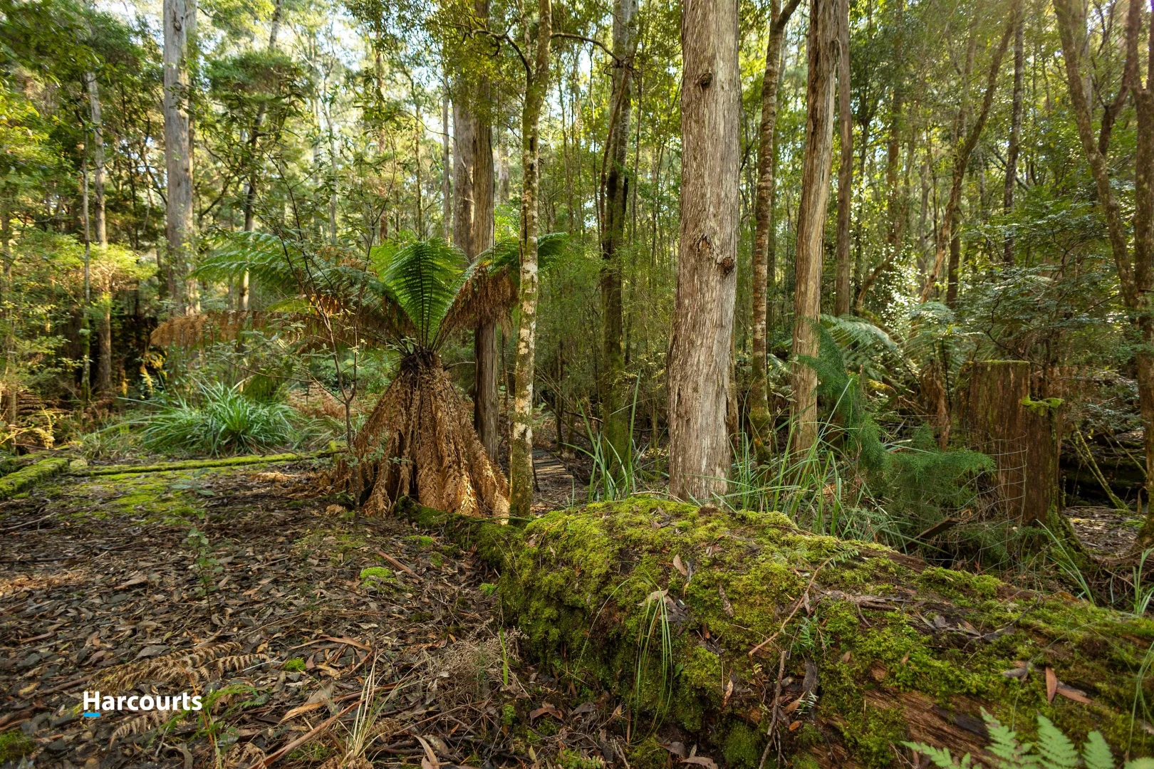 Additional image 22 of 170 Cockle Creek Road, Recherche TAS 7109