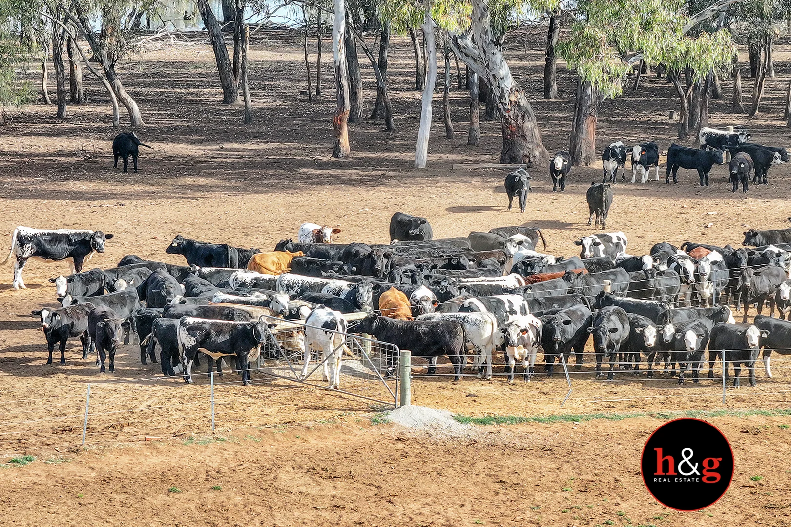 Additional image 8 of Grinters Road, Waaia VIC 3637