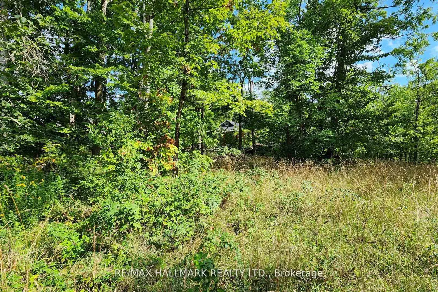 Additional image 17 of 26 Lakeshore Road