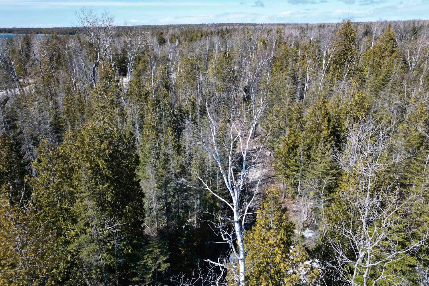 Additional image 6 of 31 Baise Avenue