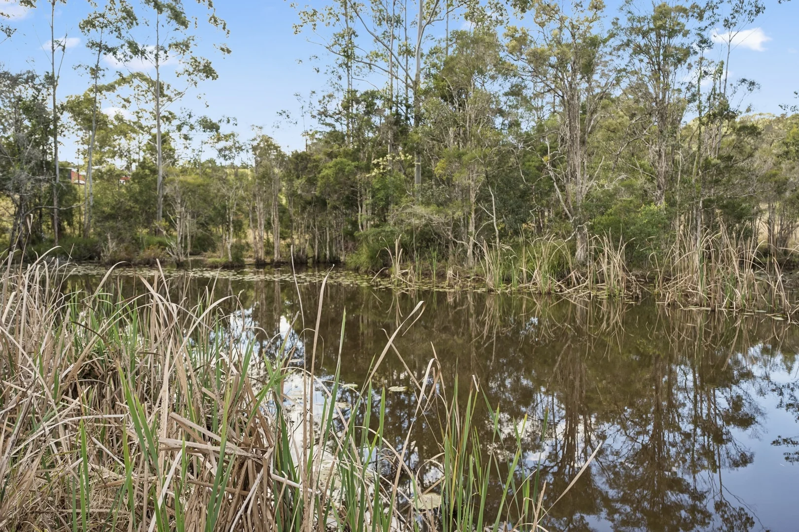 Additional image 34 of 389 Wirrimbi Road, Newee Creek NSW 2447