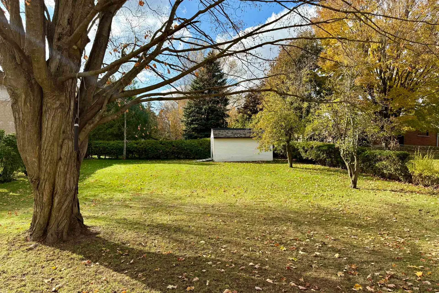 Additional image 17 of 121 Hinks Street