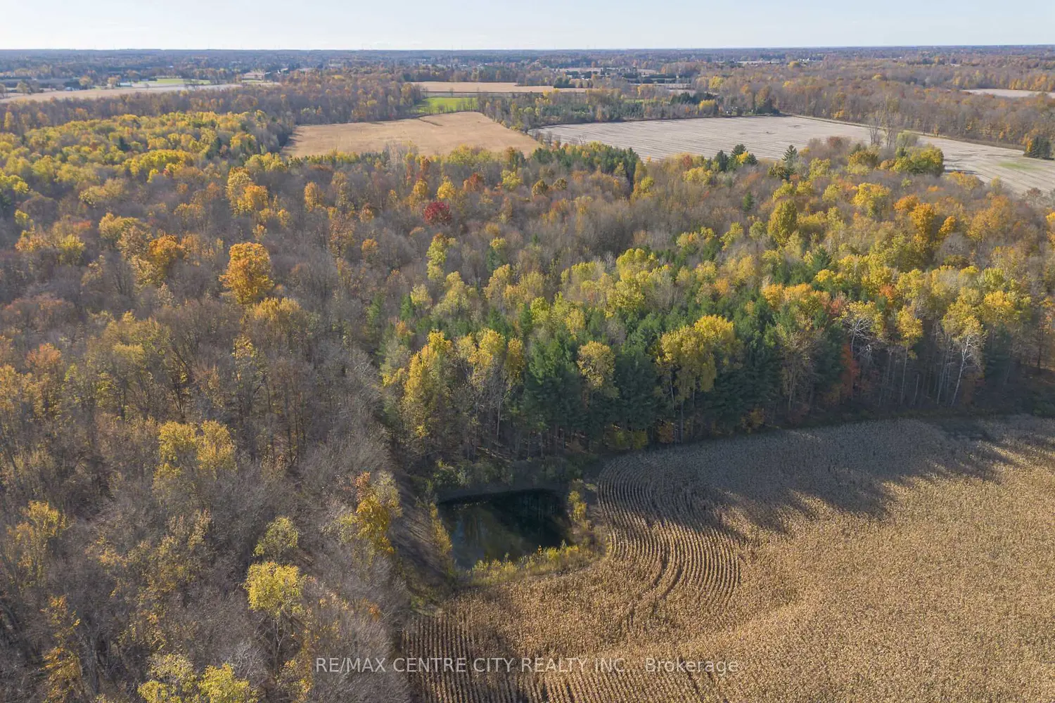 Additional image 17 of Pt Lt 140&141 Col Talbot Road