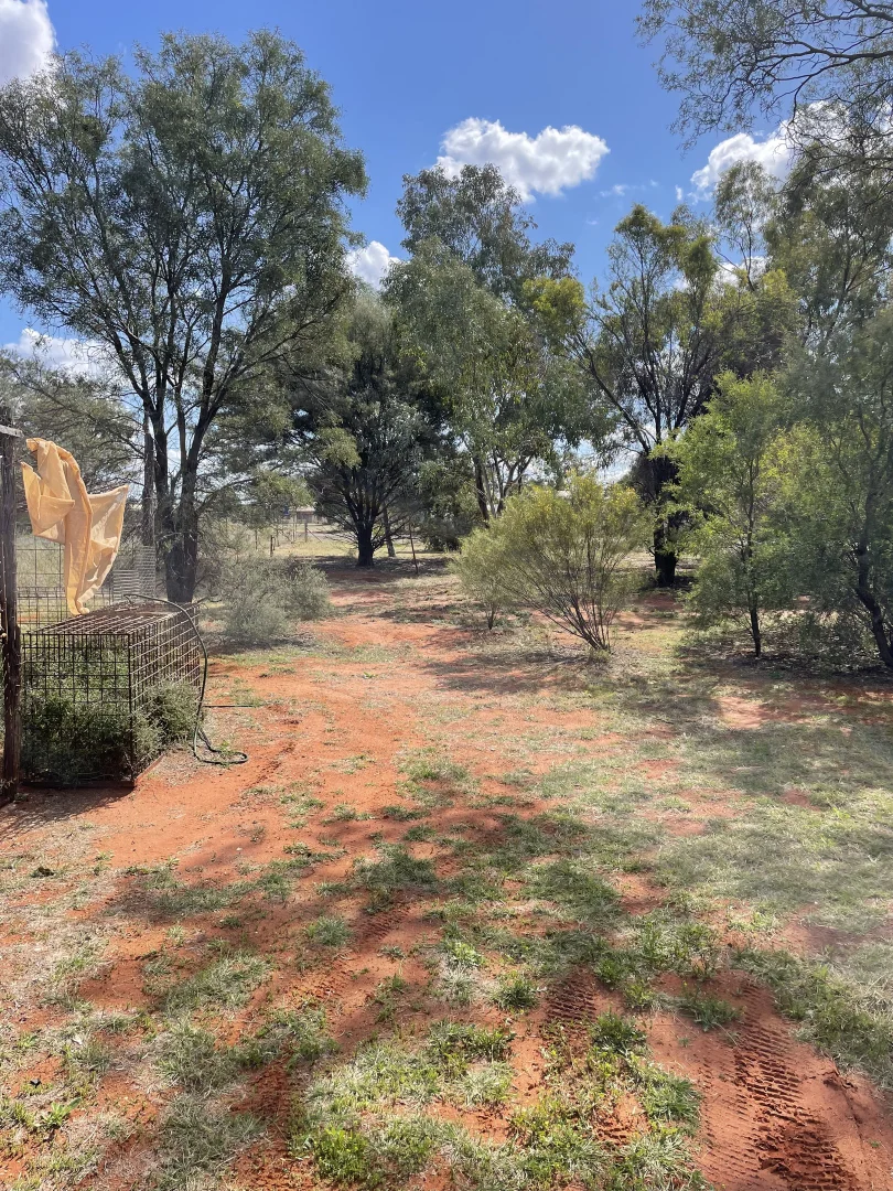 Additional image 15 of 23 Echidna Street, Eulo QLD 4491