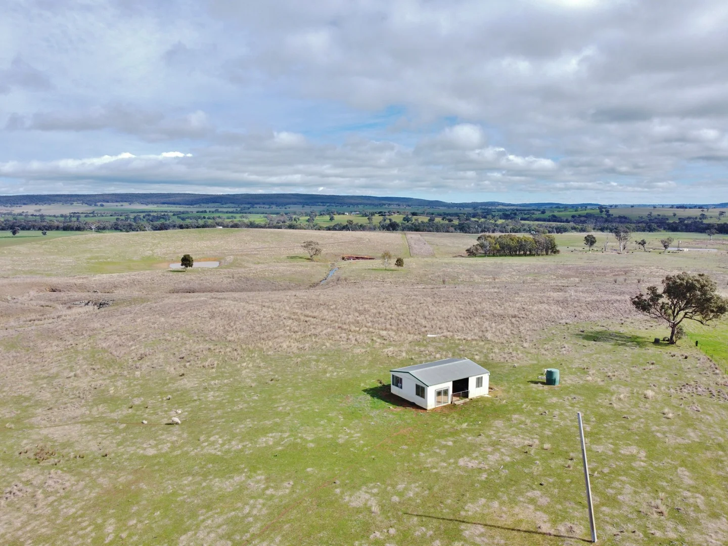 Additional image 10 of 127 Calabash Road, Murringo, via, Young NSW 2594