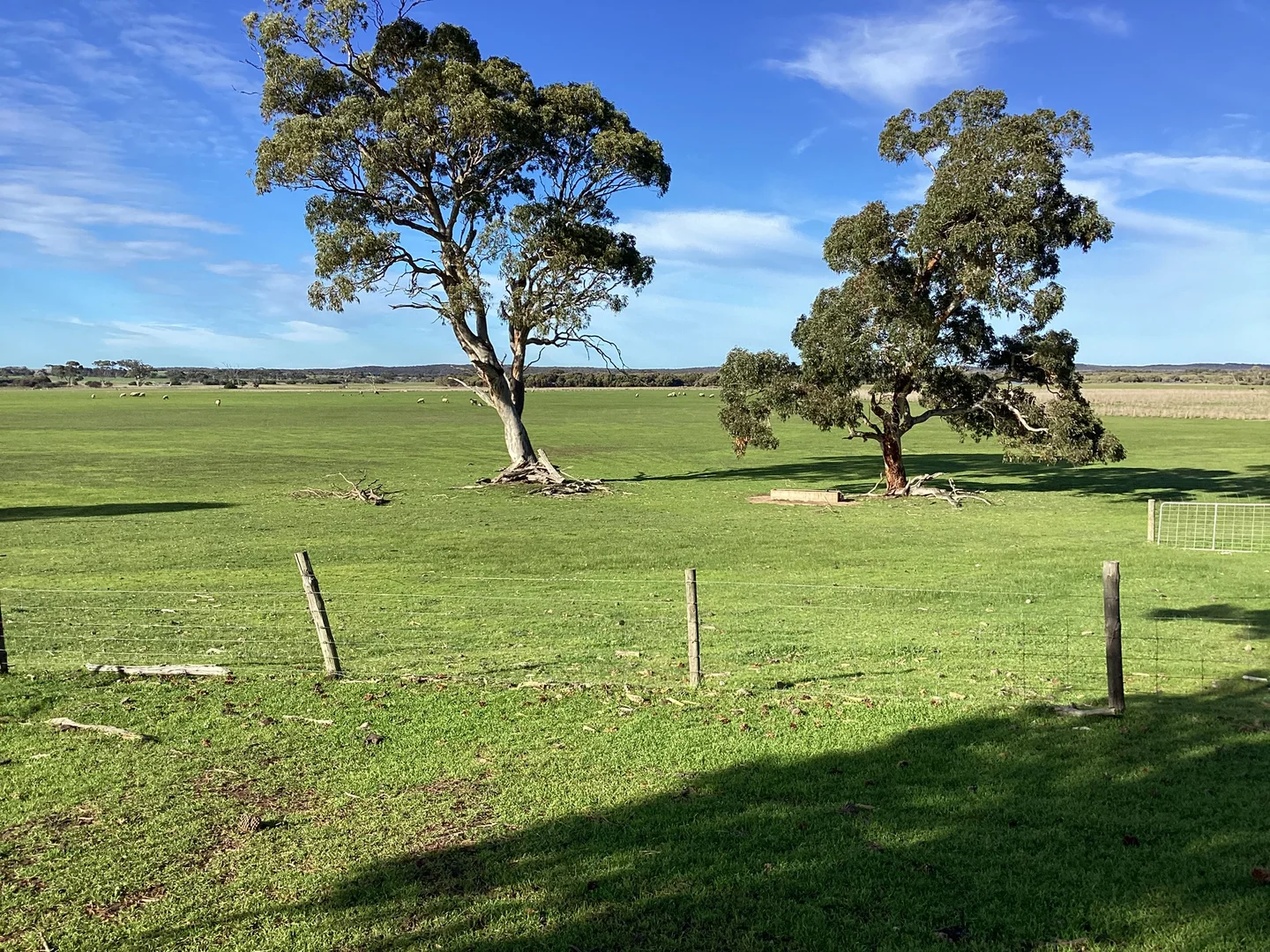 Additional image 4 of Lot 101 Schaefer Road, Seddon SA 5223