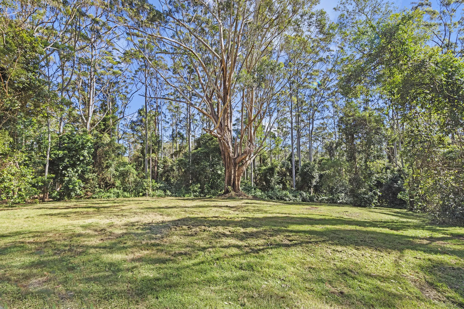 Additional image 9 of 28a Geissmann Street, Tamborine Mountain QLD 4272