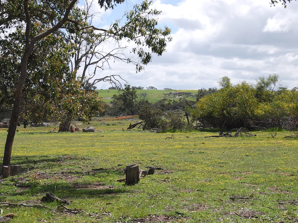 Additional image 38 of Lot 12 Young Road, Gwambygine WA 6302