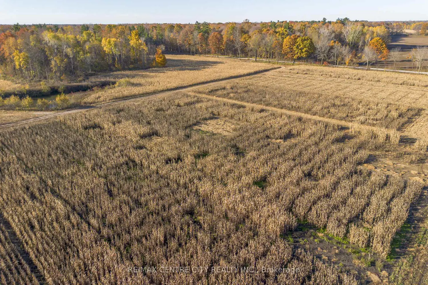 Additional image 16 of 8916 Coyle Road