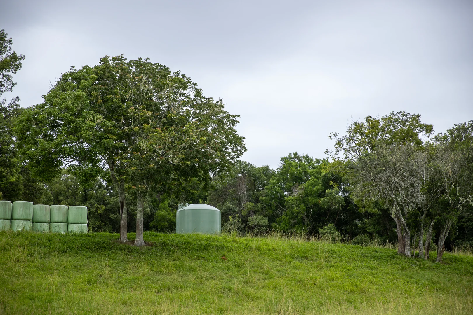 Additional image 25 of 300 Martells Road, Bellingen NSW 2454