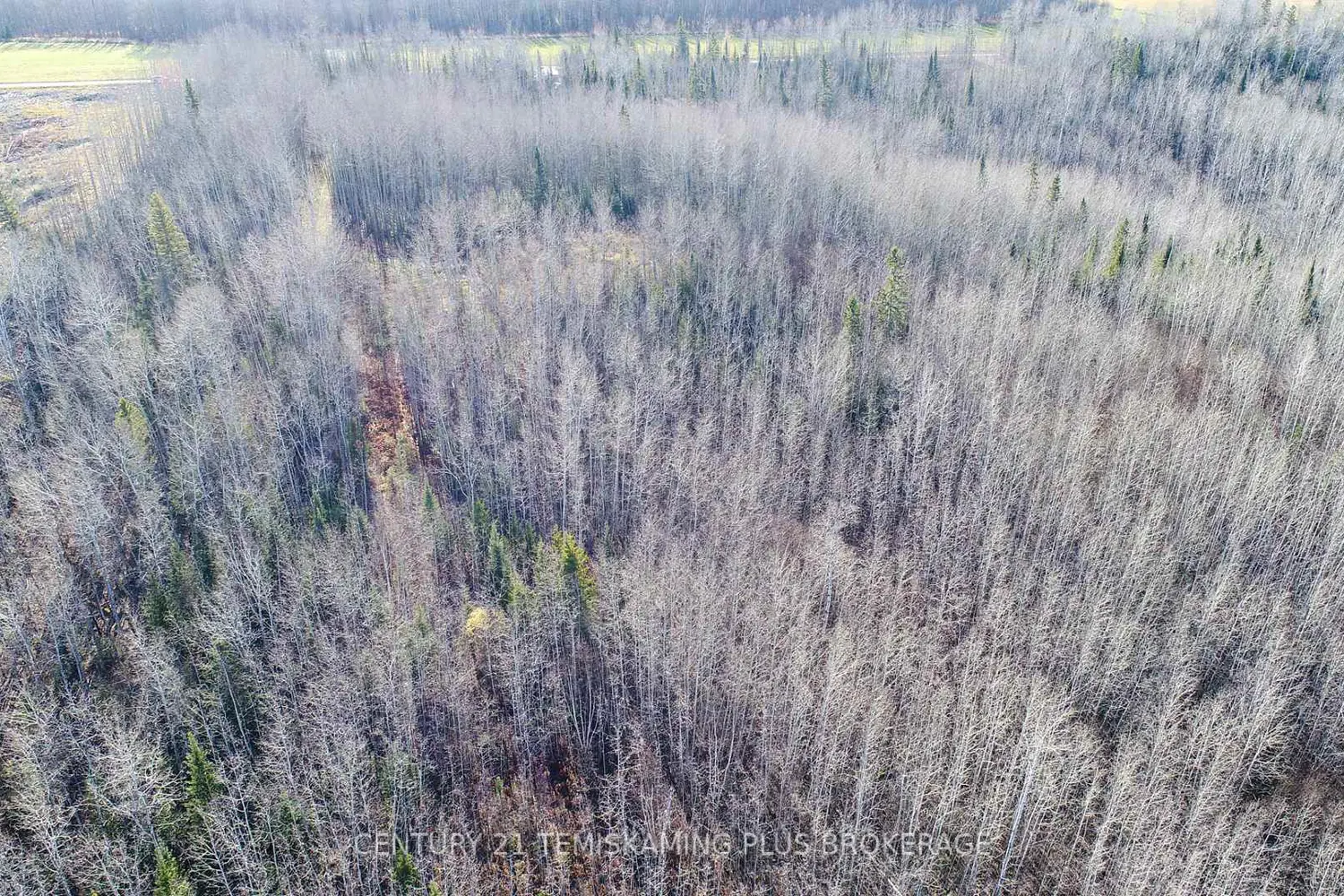 Additional image 17 of Pt 4 Cabin Road