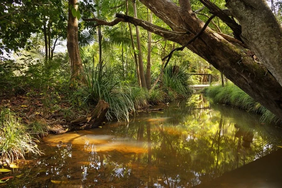 Additional image 23 of 98 Greenvale Court, Burringbar NSW 2483