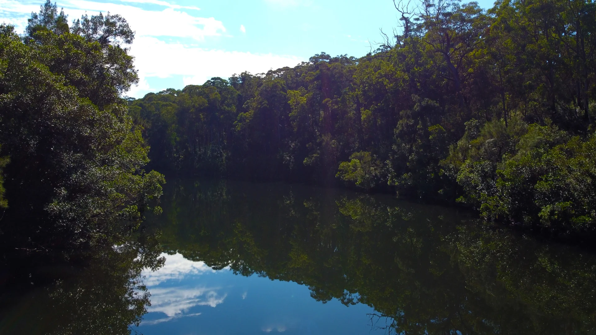 Additional image 6 of 406A Backhouse Road, Mogood NSW 2538