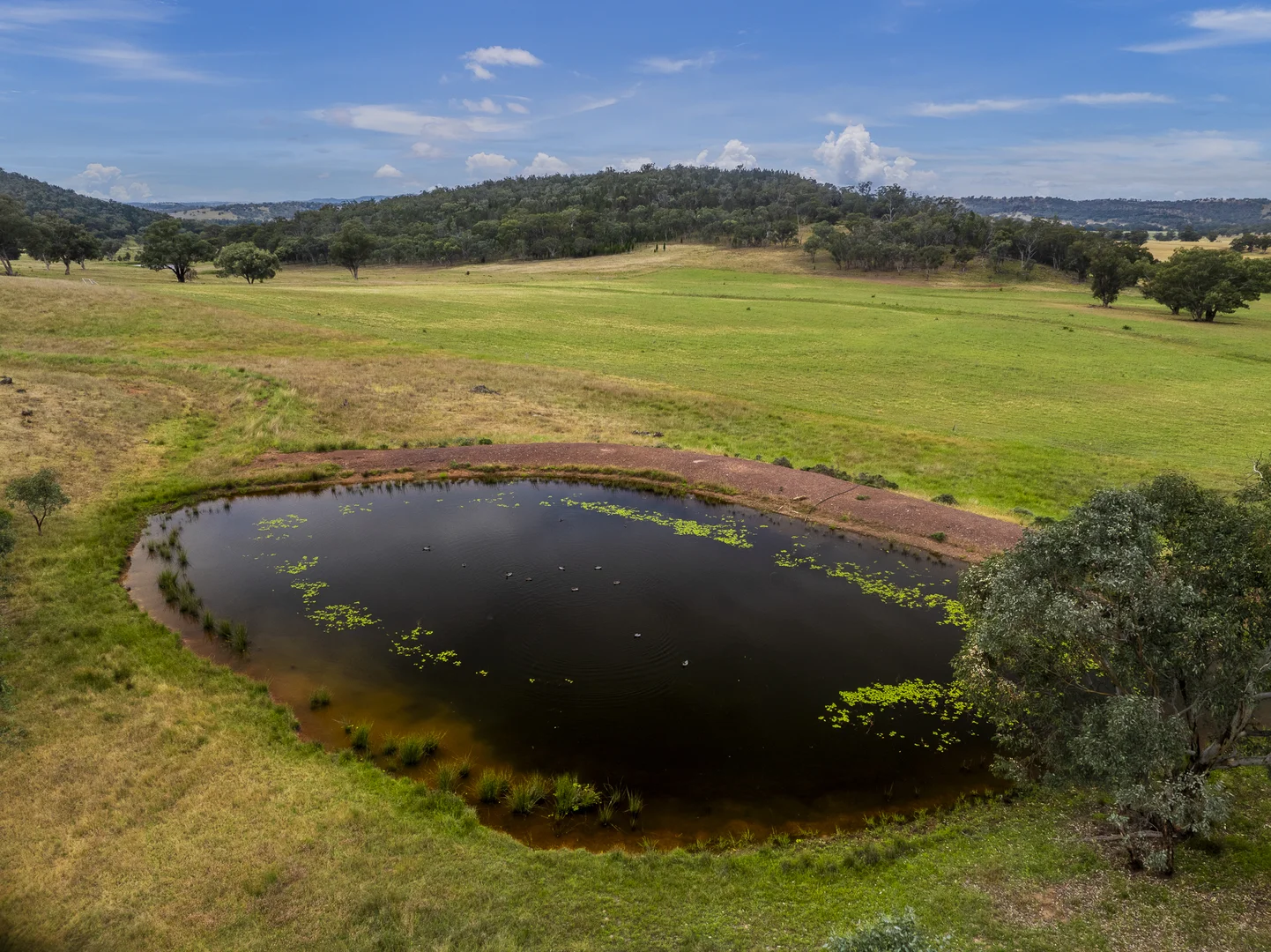 Additional image 25 of The Spring 561 Mountain Valley Road, Neurea NSW 2820