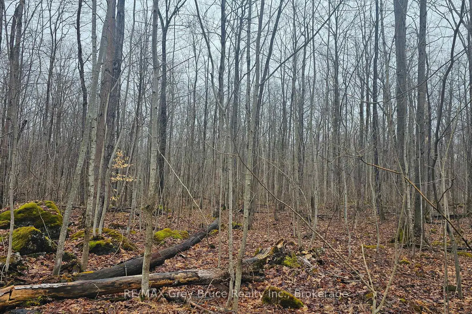 Additional image 8 of Pt Lt 1 Concession Rd 21 Road