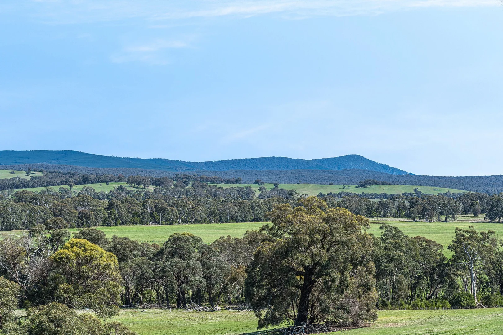 Additional image 2 of CA9, Sec C, 20 Reef Gully Lane, Waterloo VIC 3373