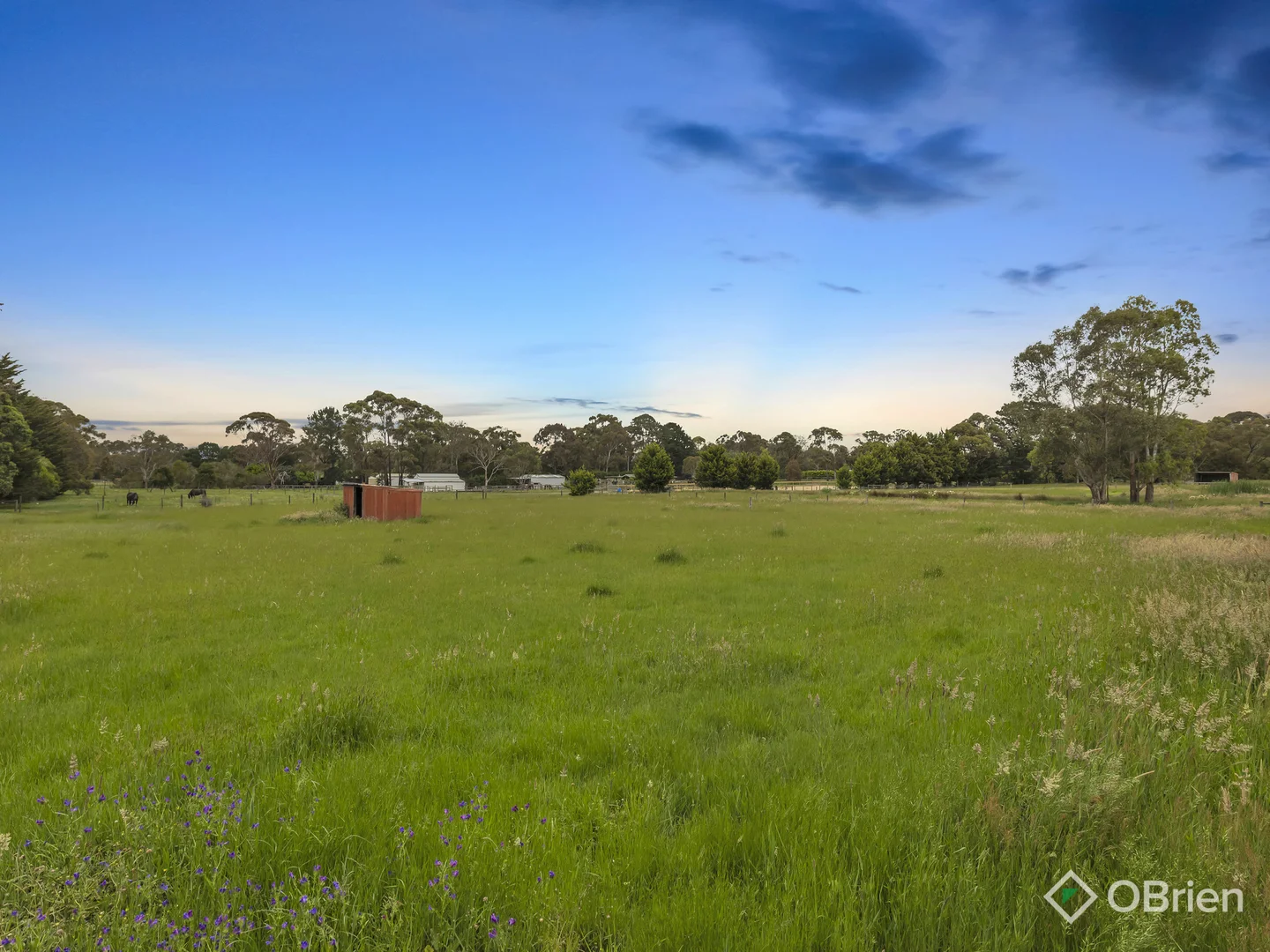 Additional image 22 of 6 Kelly Road, Cranbourne South VIC 3977