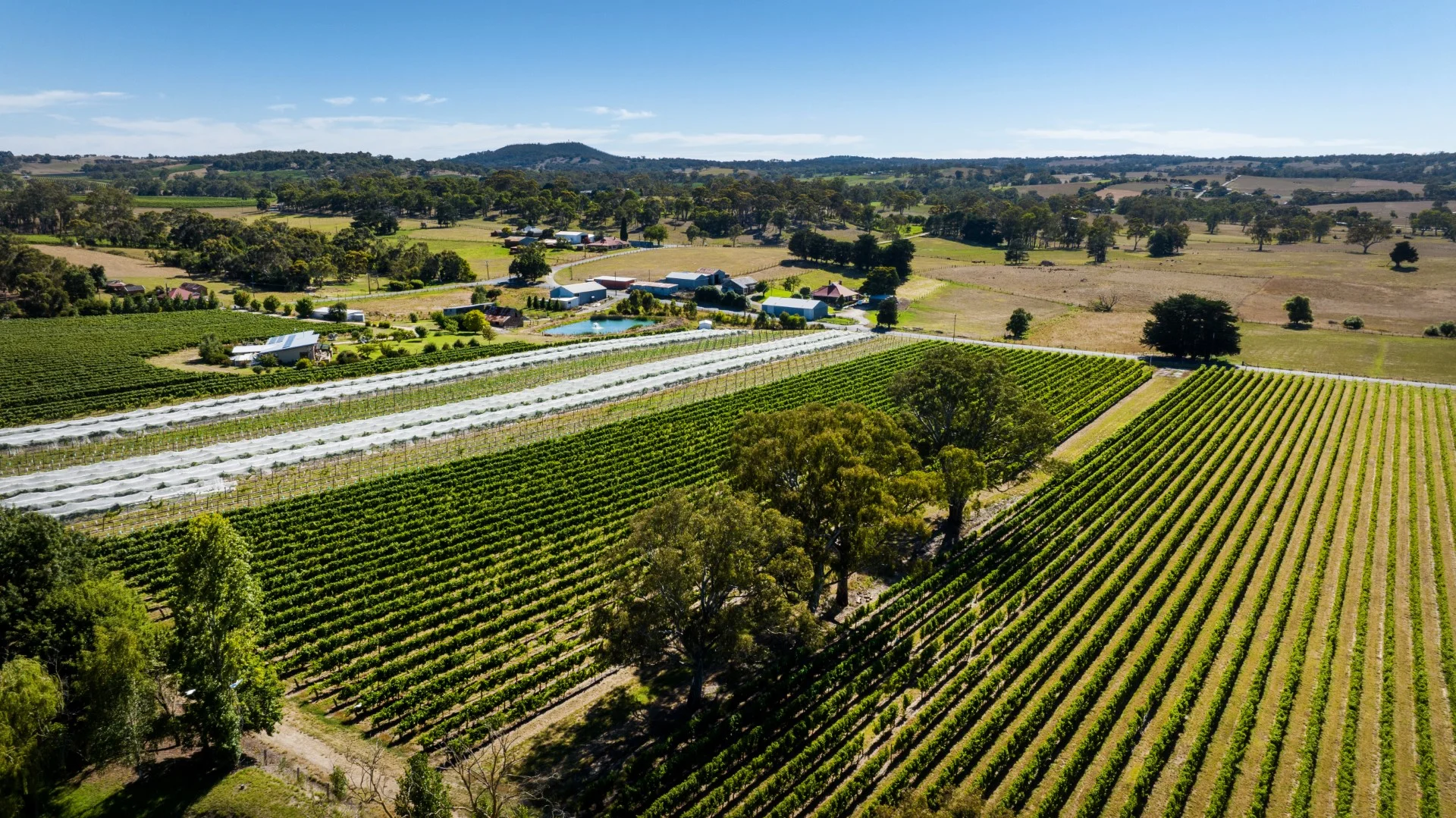 Additional image 4 of 162 Jungfer Road, Charleston SA 5244