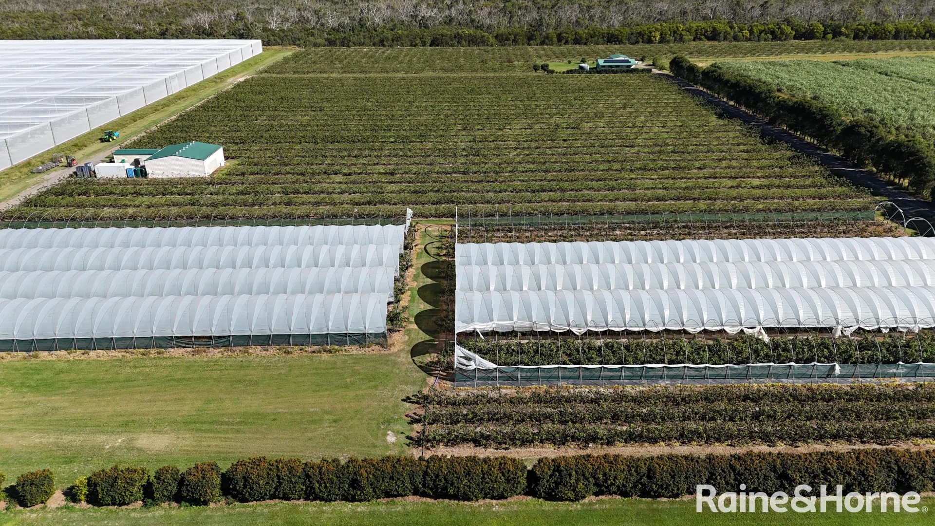 Additional image 7 of 135 Newlands Road, North Gregory QLD 4660