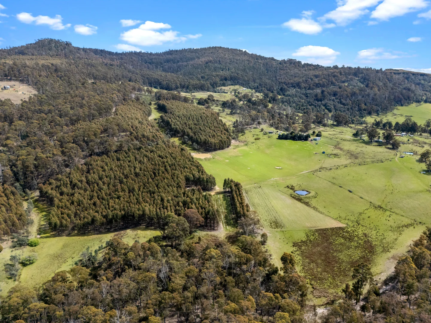 Additional image 5 of 523 Yarlington Road, Colebrook TAS 7027