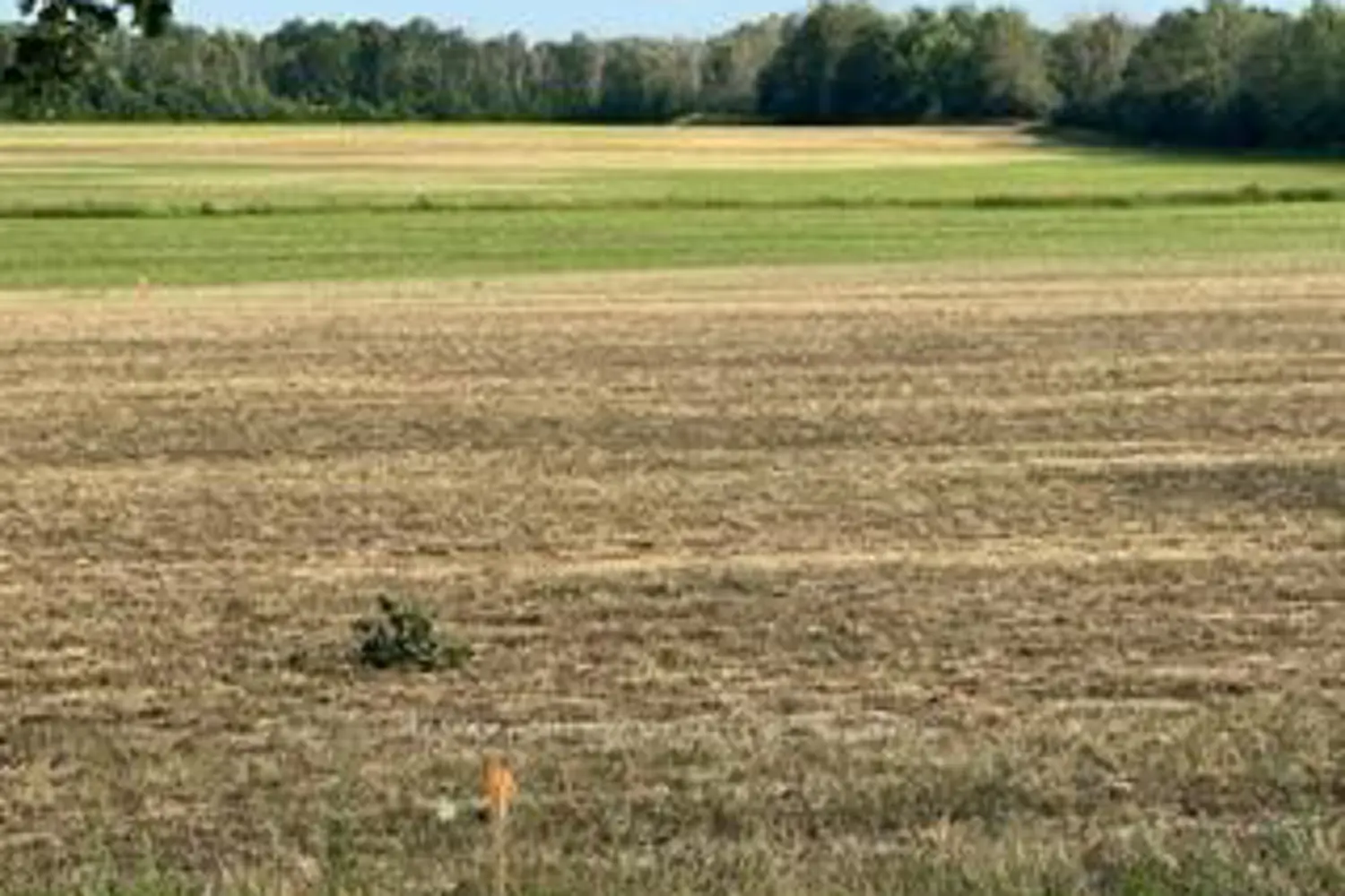 Additional image 6 of 0 Kitley Line 8 Road