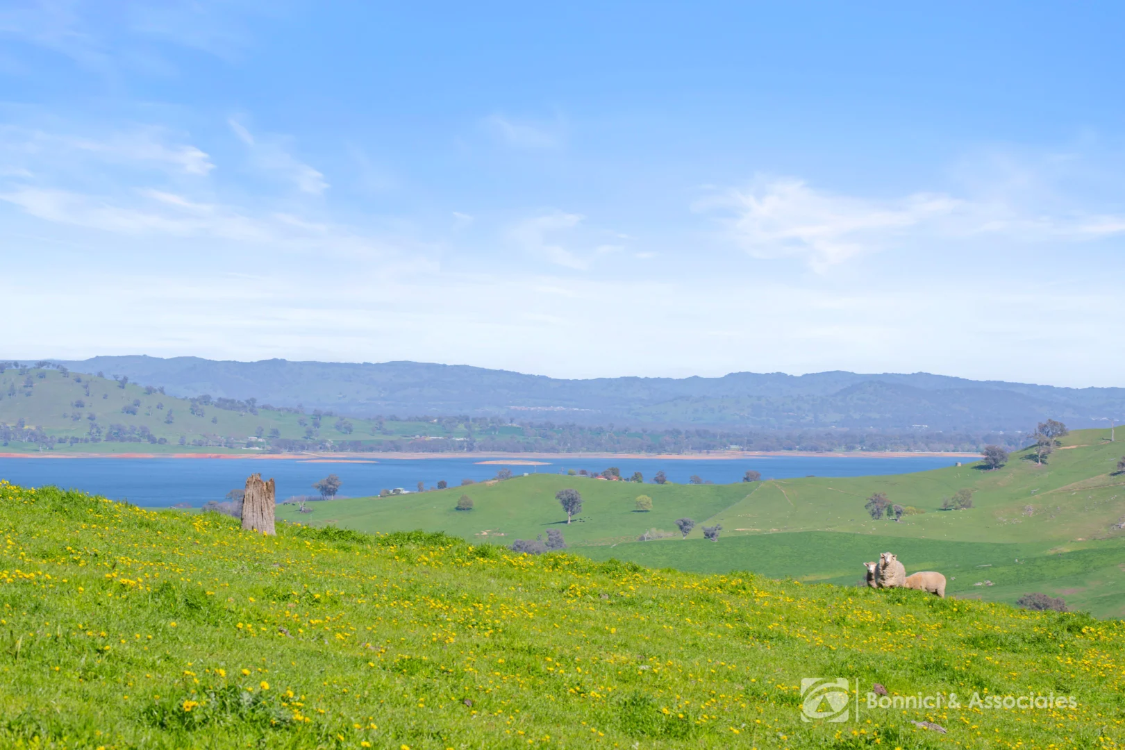 Additional image 16 of "THE OAKS" Bethanga Bay Road, Bethanga VIC 3691