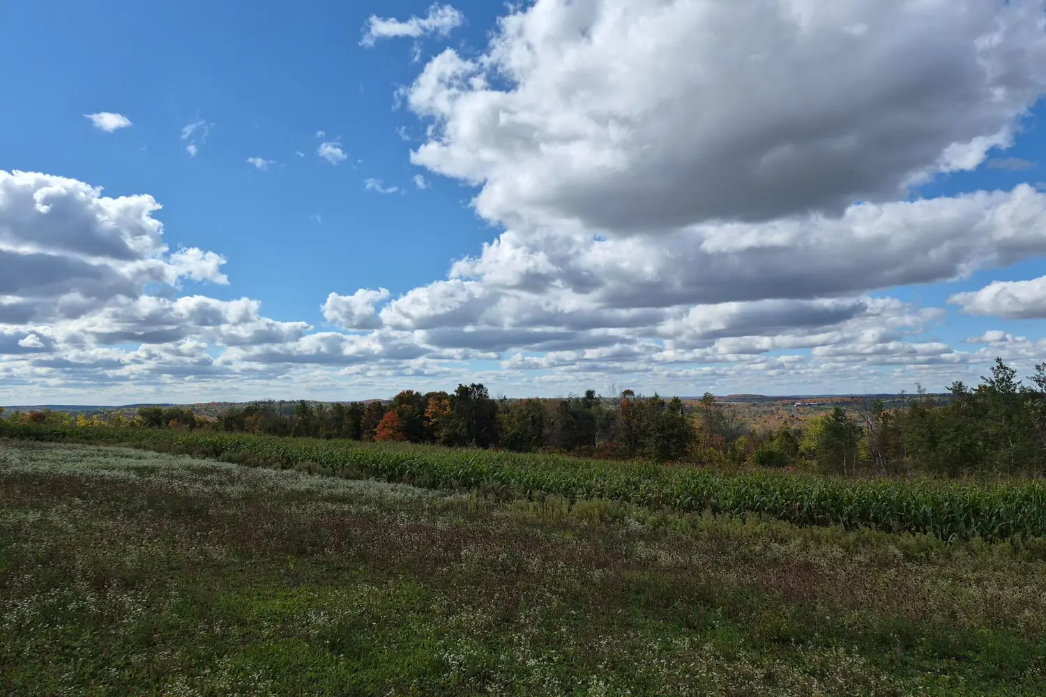 Pl 15 Base Line photo 2