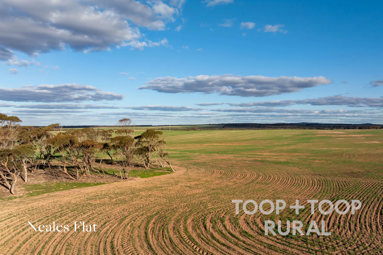 Additional image 4 of 332 Angle Road, Brownlow SA 5374