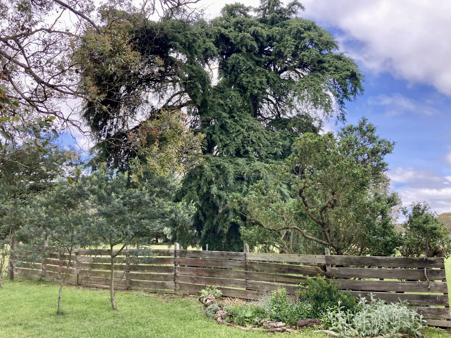 Additional image 22 of 1805 Mount Macedon Road, Woodend VIC 3442