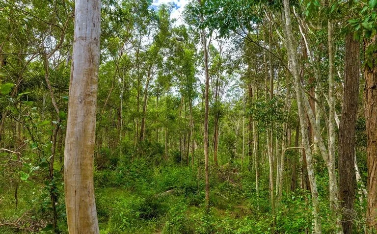 Additional image 5 of Lot L984 Arborfourteen Road, Glenwood QLD 4570