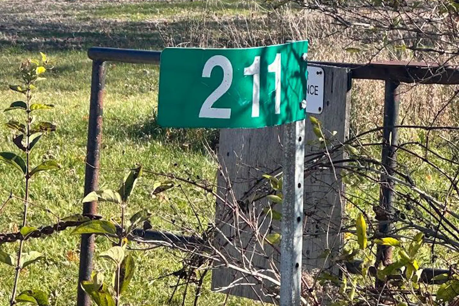 Additional image 19 of 211 Queen Street