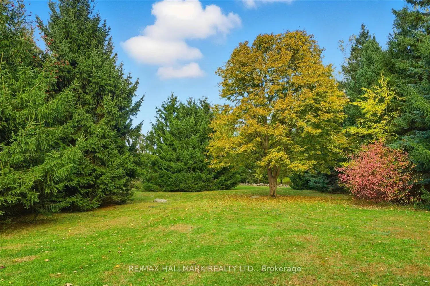 Additional image 19 of 12 Glenn Court