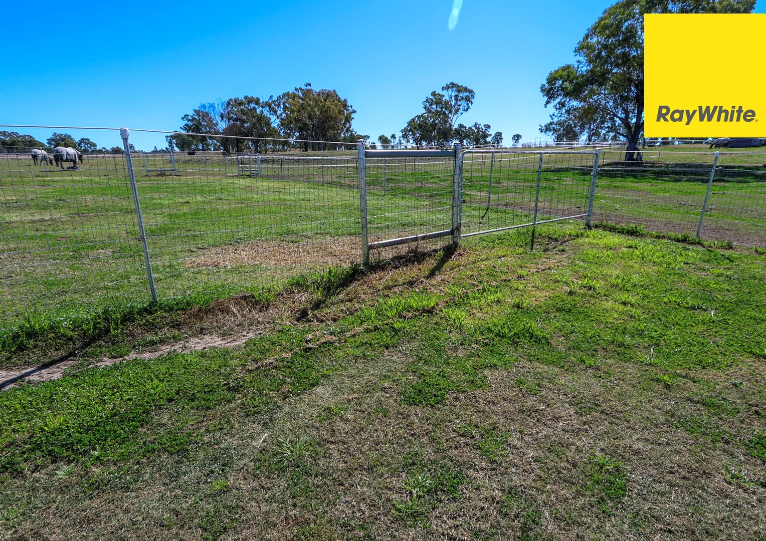 Additional image 13 of 103 Inverell Street, Ashford NSW 2361