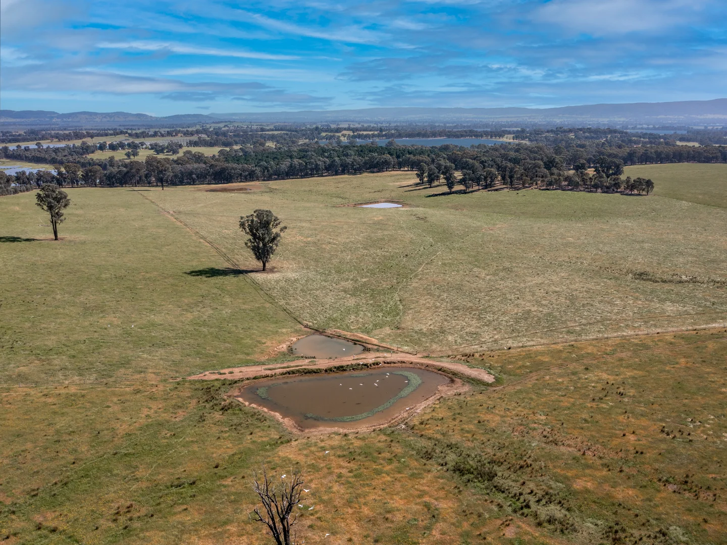Additional image 6 of Eleven Mile Creek Road, Glenrowan West VIC 3675