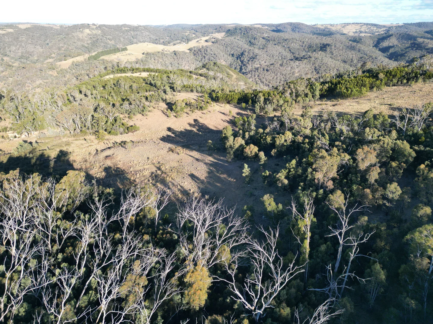 Additional image 12 of 35 Mares Forest Road, Wombeyan Caves NSW 2580