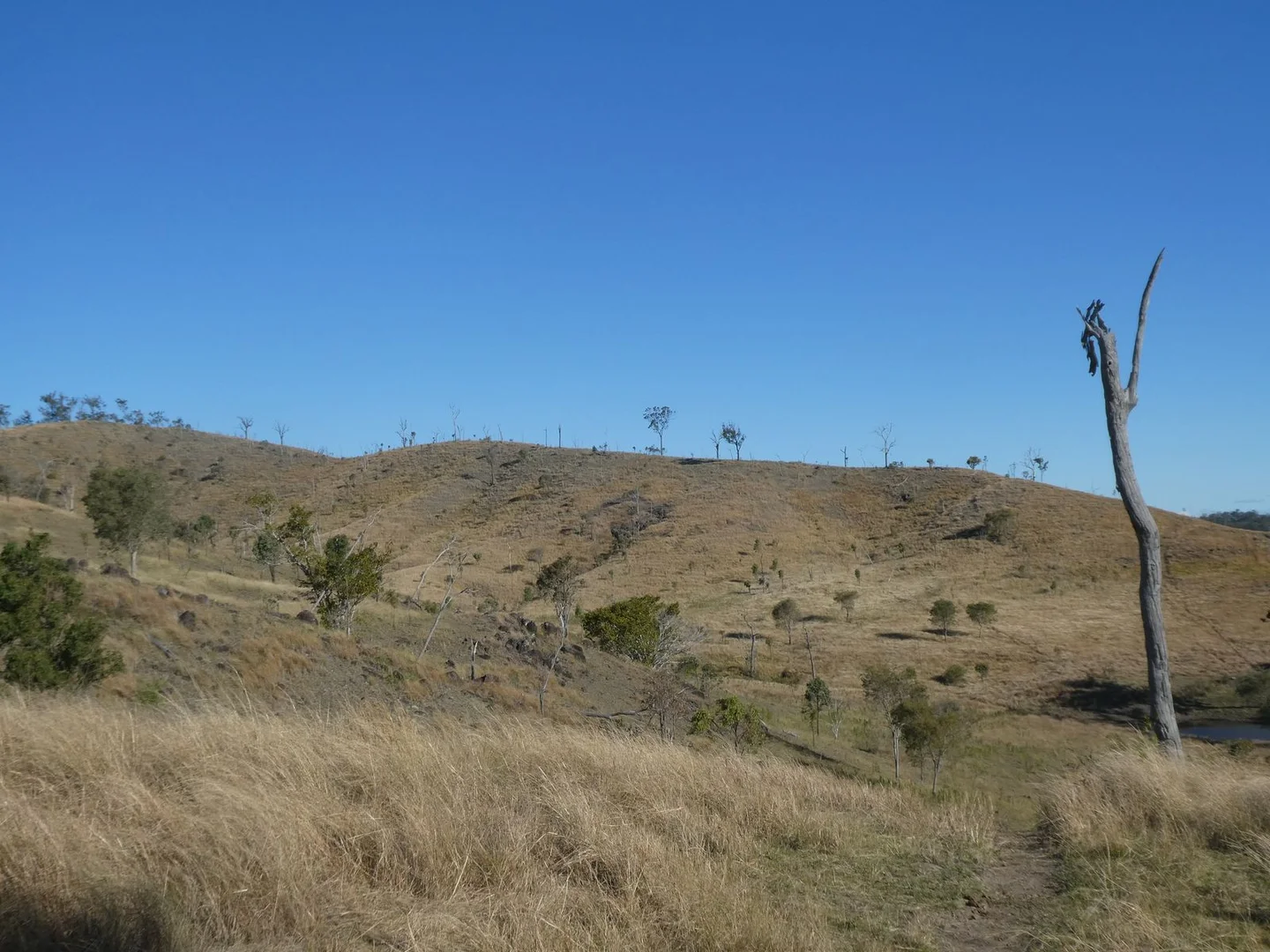 Additional image 17 of 4 Lots/NRN Monto Mount Perry Road, Mungy QLD 4671