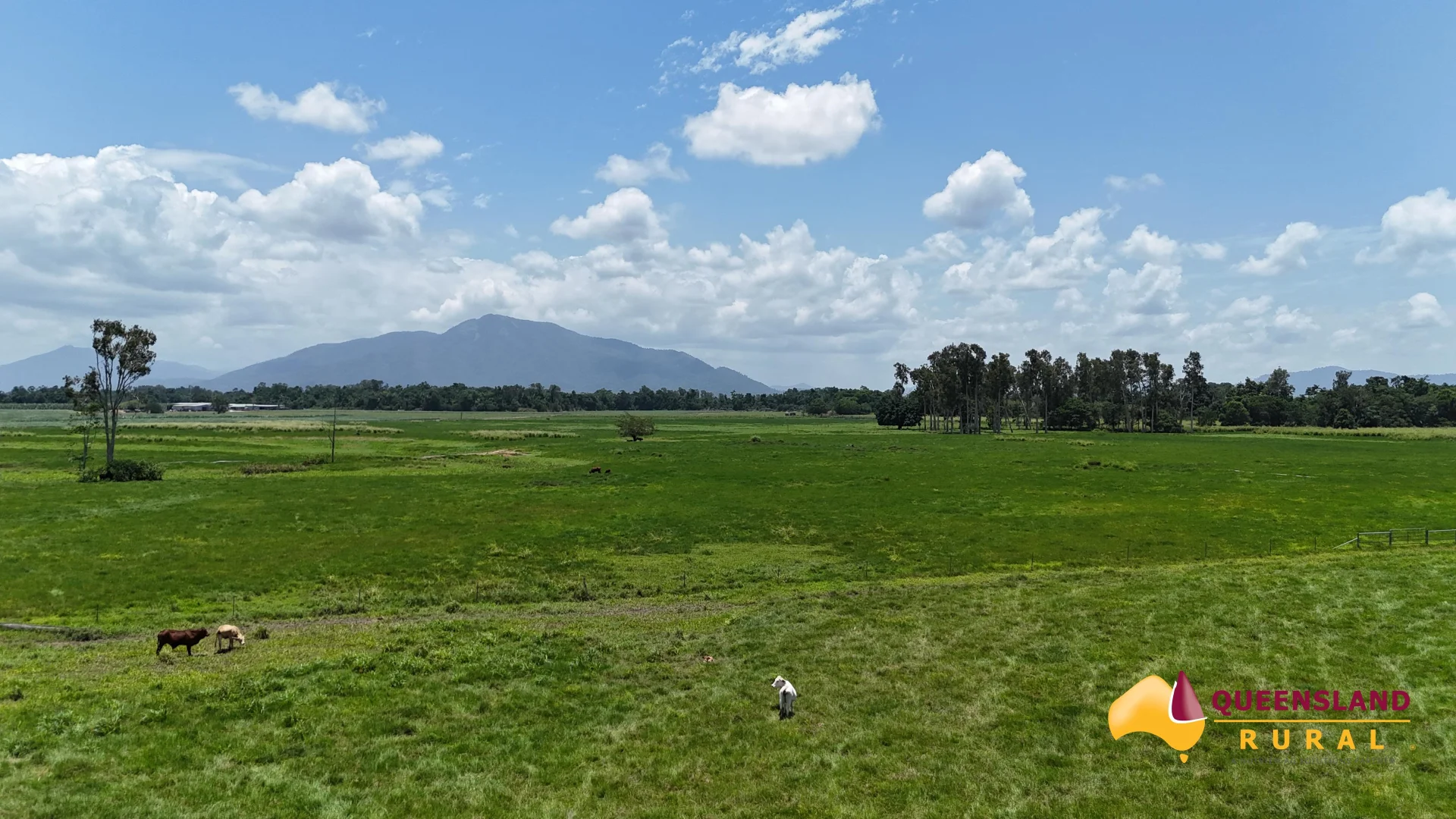 Additional image 2 of Euramo QLD 4854