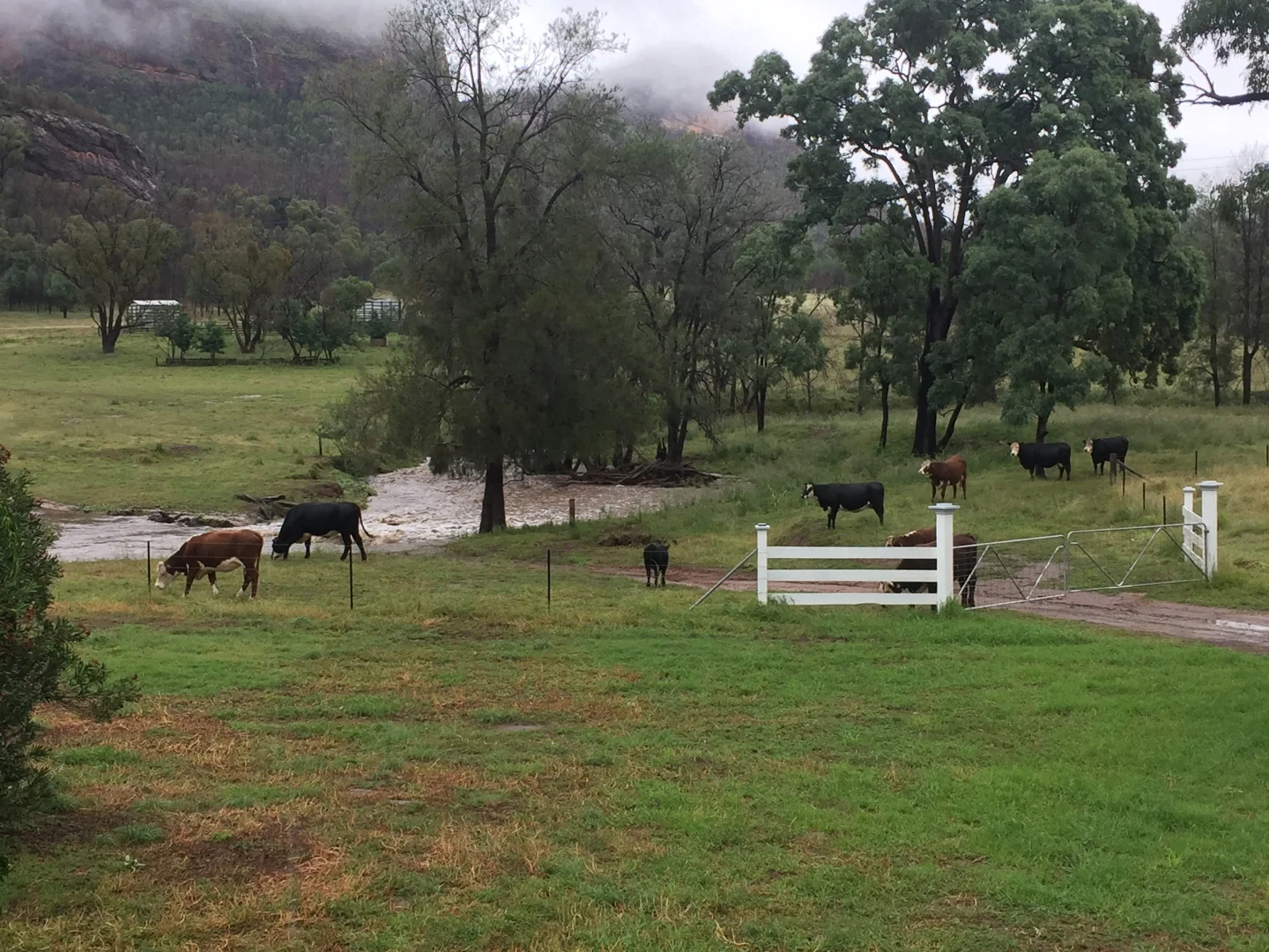 Additional image 38 of 849 Guinema Goorianawa Road, Coonabarabran NSW 2357