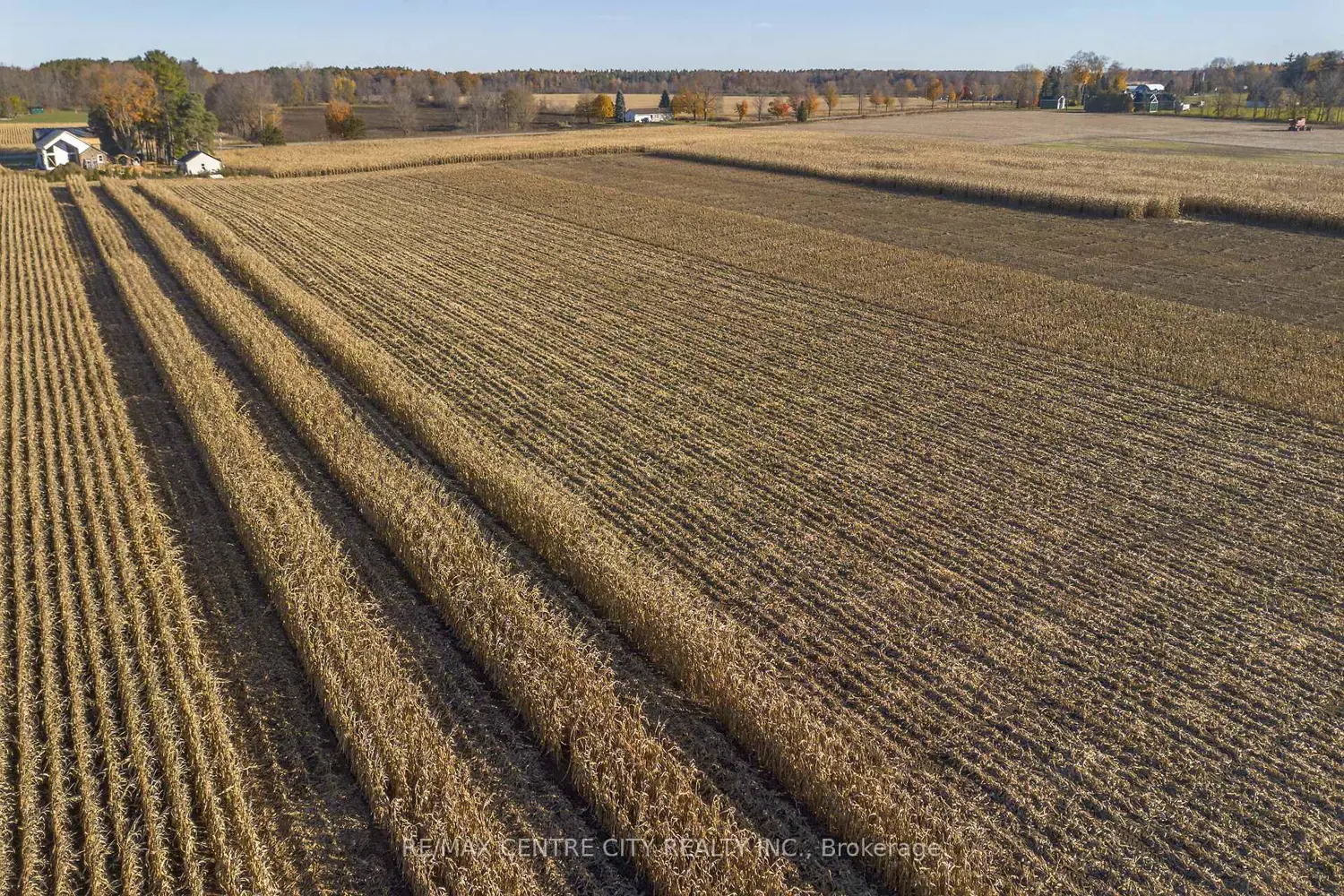 Additional image 19 of 8916 Coyle Road