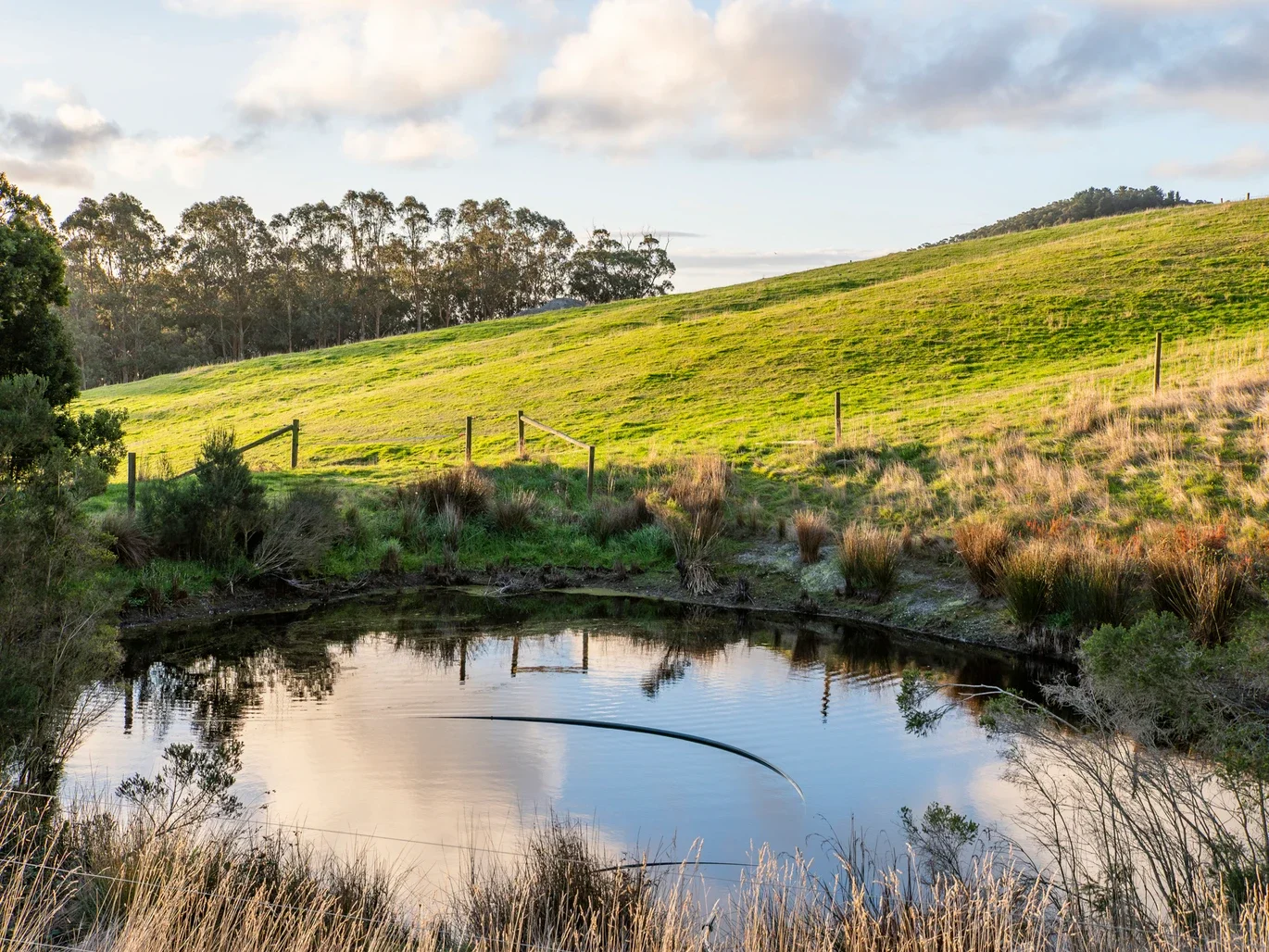 Additional image 26 of 2160 Meeniyan -Promontory Rd, Fish Creek VIC 3959