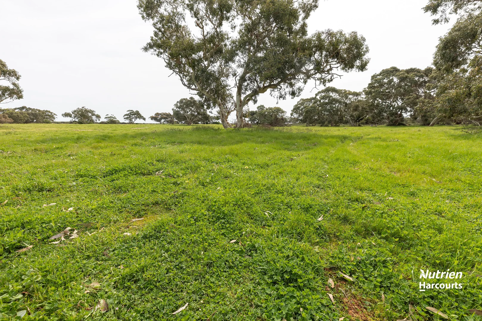 Additional image 27 of 18462 Princes Highway, Kingston Se SA 5275